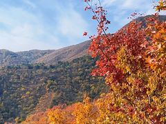 -妙峰山风景名胜区