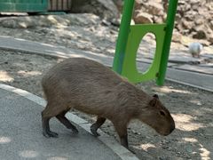 -成都欢乐谷