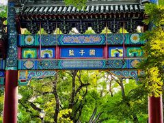 -北京国子监胡同