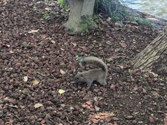 -西湖外事游船(花港观鱼码头)