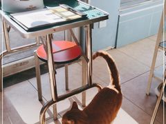 -北京博爱动物医院有限公司