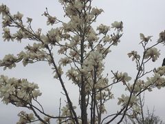 -北京鹫峰国家森林公园