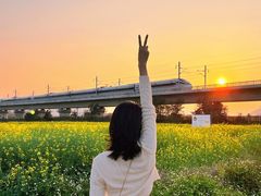 -光明小镇欢乐田园