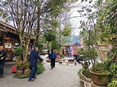 -青城甲(青城山店)