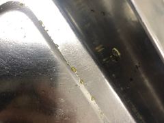 -派美特宠物医院·核磁CT·骨科肿瘤·疑难转诊(沈农禾丰店)