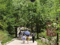 -十渡东湖港风景区