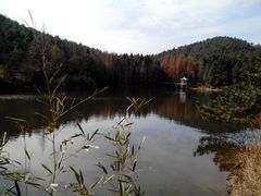 android_upload_pic-四明山国家森林公园