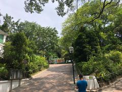 -九龙公园