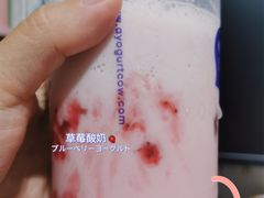 -一只酸奶牛(来福士店)