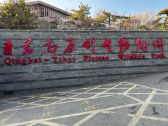 -青藏高原野生动物园