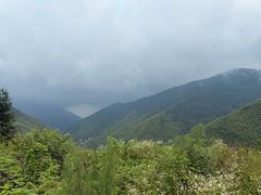 -安吉龙王山风景区