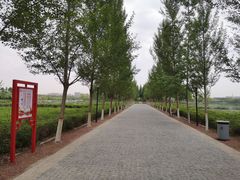-香山公园