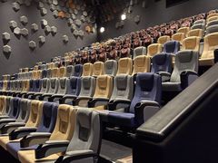 -星河寰宇IMAX影城(星河WORLD·COCO Park店)