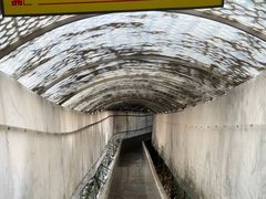 -秦岭终南山世界地质公园翠华山景区