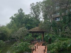 -隐秀山居酒店大堂吧