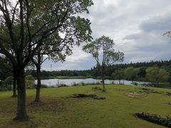 -东平国家森林公园