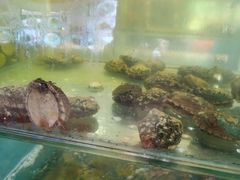 -兄弟爬爬虾(北京路店)