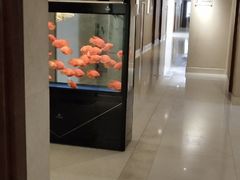 -上海中兴和泰酒店(张江高科地铁站店)