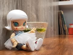 -茶是一枝花泡茶店