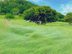 -红花山公园