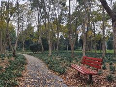 -上海滨江森林公园