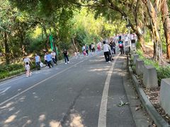 -大雁山风景区