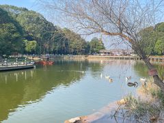 -广州市帽峰山景区