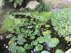 -微热山丘(台北民生公园门市店)