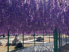 -河北省园博园
