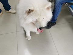 -申普宠物医院·眼科·心内科·影像科(普陀分院)