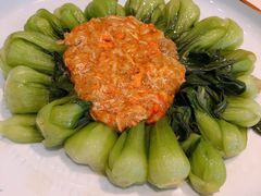 蟹粉菜心-老正兴菜馆(福州路店)