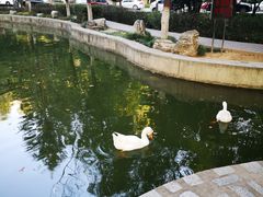 -陕西师范大学(雁塔校区)