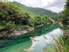 -石台牯牛降景区