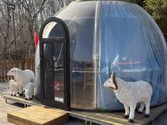 -香木香羊(小汤山店)