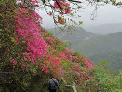 -木兰云雾山