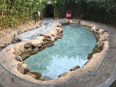 -森波拉火山温泉