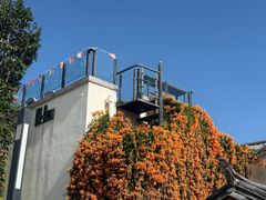 -瑞丰园庭院餐厅·白族传统家常菜