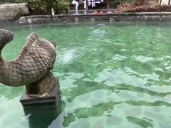 -杭州第一世界大酒店·云曼温泉