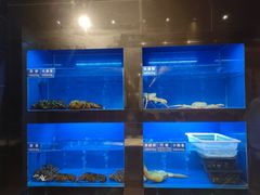 水产区-金时代顺风大酒店(临港百联店)