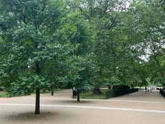 -海德公园