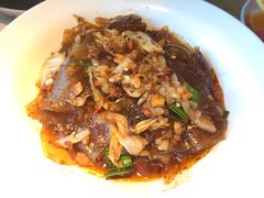 酸包菜炒粉皮-小放牛炒菜馆(三丰店)