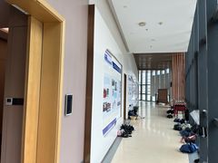 -中山大学附属第五医院