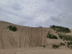 -库伦旗银沙湾旅游景区