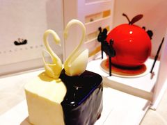 -BLACKSWAN黑天鹅(环球店)