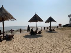 -北海金海湾红树林生态旅游区