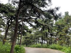 -北京西山国家森林公园