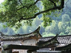 -杨家堂村