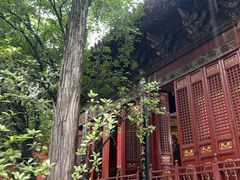 -洛阳白马寺