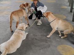 -1013 PET SHOP 宠物商店(近铁城市广场店)