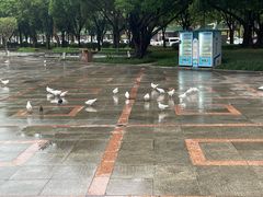 -顺峰山公园